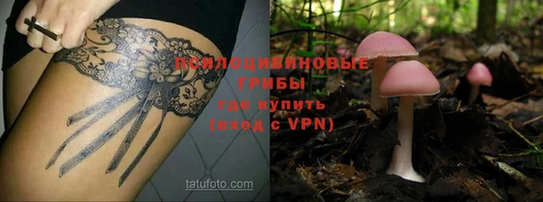 марки nbome Белокуриха