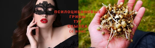 марки nbome Белокуриха