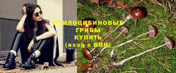Альфа ПВП Белоозёрский