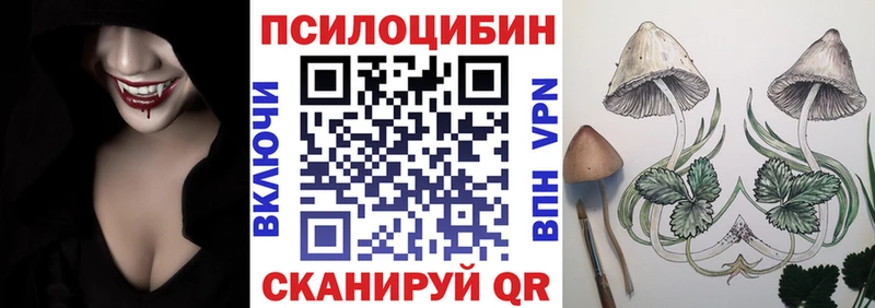 Псилоцибиновые грибы Cubensis  купить наркоту  Болгар 